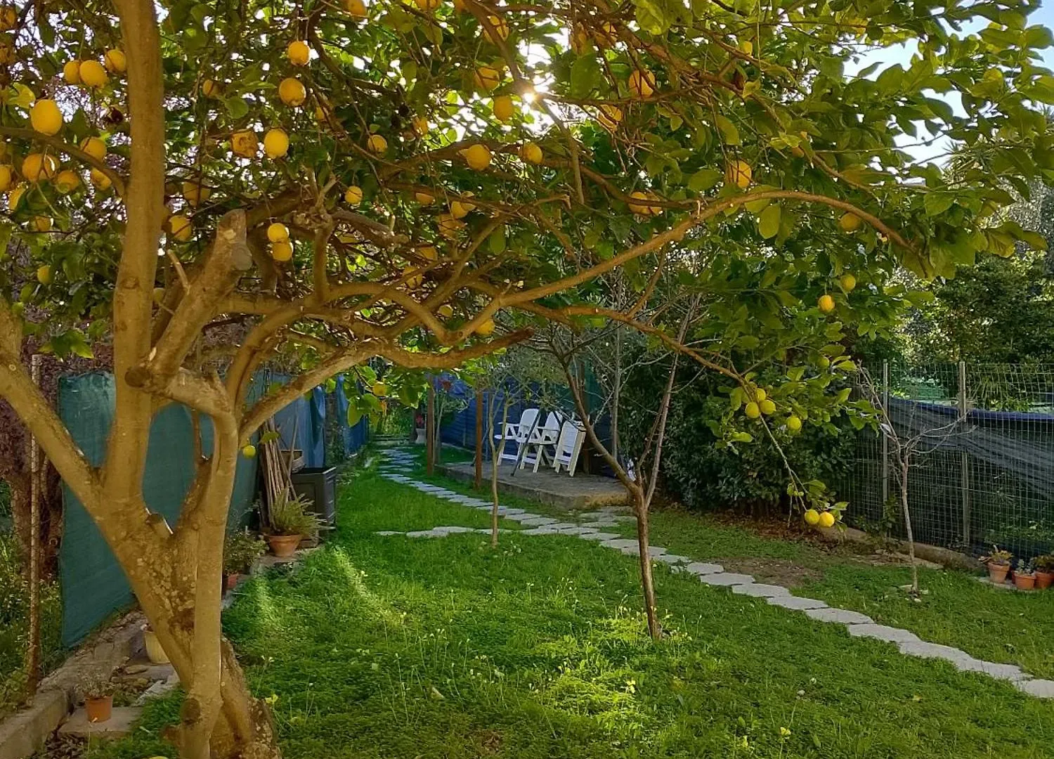 Bed & Breakfast Lo Spicchio B&B Alghero